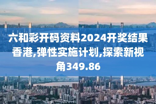 六和彩开码资料2024开奖结果香港,弹性实施计划,探索新视角349.86