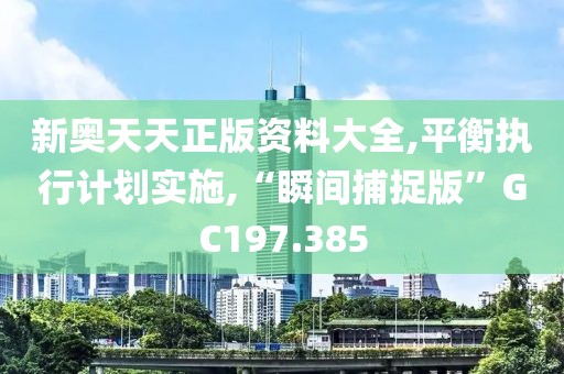 新奥天天正版资料大全,平衡执行计划实施,“瞬间捕捉版”GC197.385