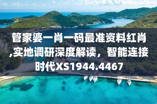 管家婆一肖一码最准资料红肖,实地调研深度解读，智能连接时代XS1944.4467