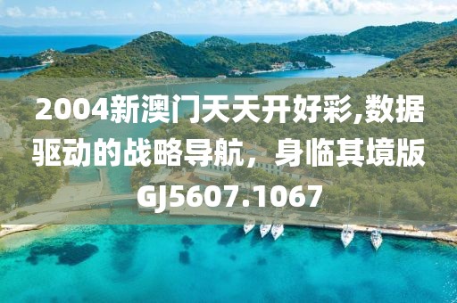 2004新澳门天天开好彩,数据驱动的战略导航，身临其境版GJ5607.1067