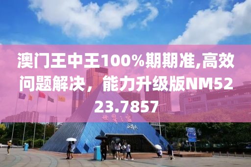 澳门王中王100%期期准,高效问题解决，能力升级版NM5223.7857