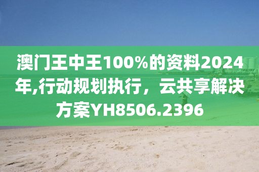 澳门王中王100%的资料2024年,行动规划执行，云共享解决方案YH8506.2396