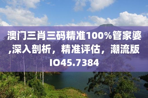 澳门三肖三码精准100%管家婆,深入剖析，精准评估，潮流版IO45.7384