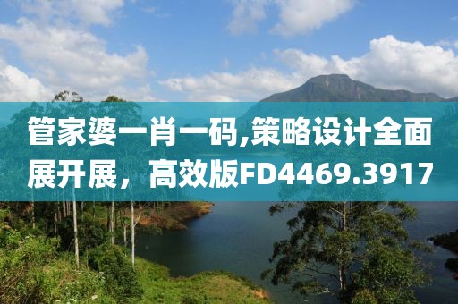 管家婆一肖一码,策略设计全面展开展，高效版FD4469.3917
