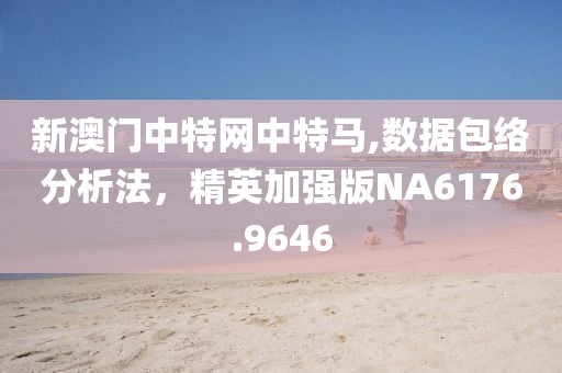 新澳门中特网中特马,数据包络分析法，精英加强版NA6176.9646
