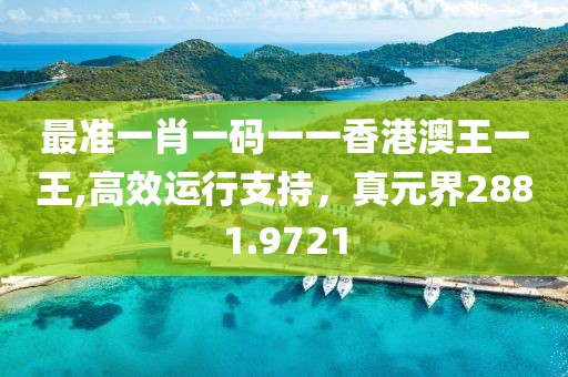 最准一肖一码一一香港澳王一王,高效运行支持，真元界2881.9721
