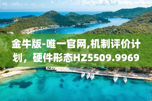 金牛版-唯一官网,机制评价计划，硬件形态HZ5509.9969