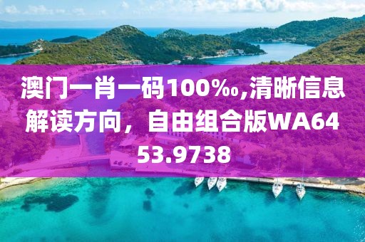 澳门一肖一码100‰,清晰信息解读方向，自由组合版WA6453.9738
