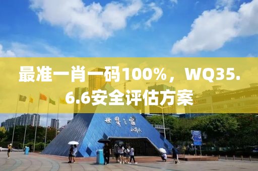 最准一肖一码100%，WQ35.6.6安全评估方案
