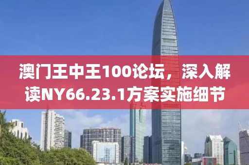 澳门王中王100论坛，深入解读NY66.23.1方案实施细节