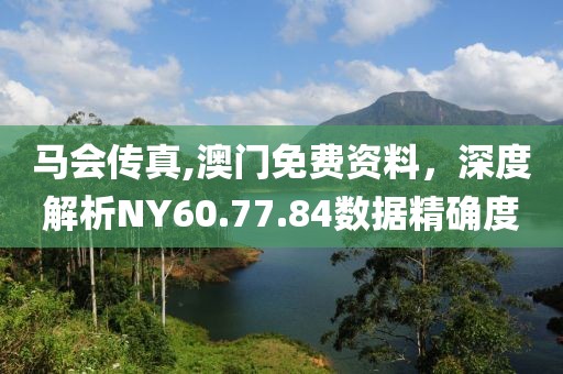 马会传真,澳门免费资料，深度解析NY60.77.84数据精确度