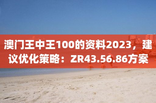 澳门王中王100的资料2023，建议优化策略：ZR43.56.86方案