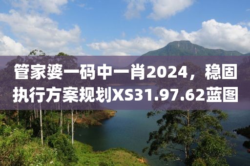 管家婆一码中一肖2024，稳固执行方案规划XS31.97.62蓝图