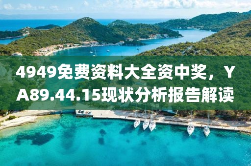 4949免费资料大全资中奖，YA89.44.15现状分析报告解读