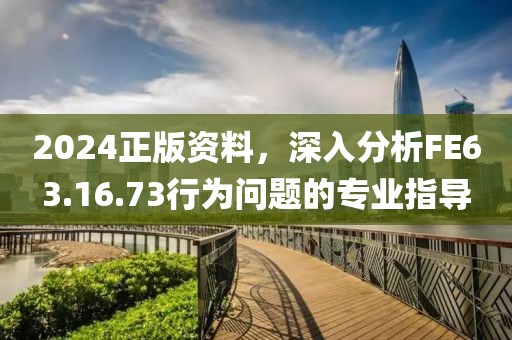 2024正版资料，深入分析FE63.16.73行为问题的专业指导