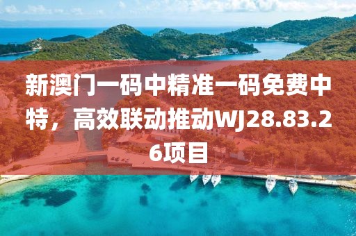 新澳门一码中精准一码免费中特，高效联动推动WJ28.83.26项目