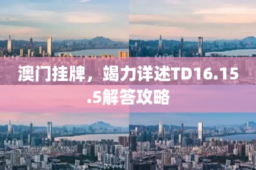 澳门挂牌，竭力详述TD16.15.5解答攻略