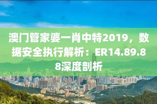 澳门管家婆一肖中特2019，数据安全执行解析：ER14.89.88深度剖析