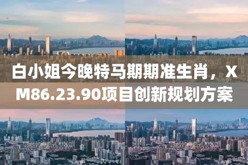 白小姐今晚特马期期准生肖，XM86.23.90项目创新规划方案