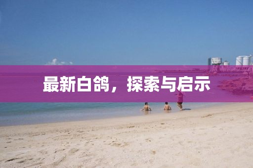 配送服务 第885页