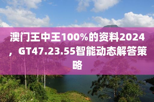 澳门王中王100%的资料2024，GT47.23.55智能动态解答策略