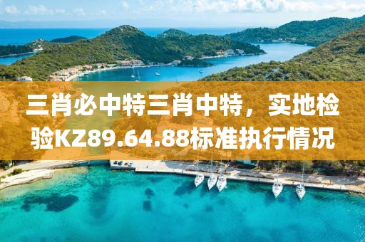 三肖必中特三肖中特，实地检验KZ89.64.88标准执行情况