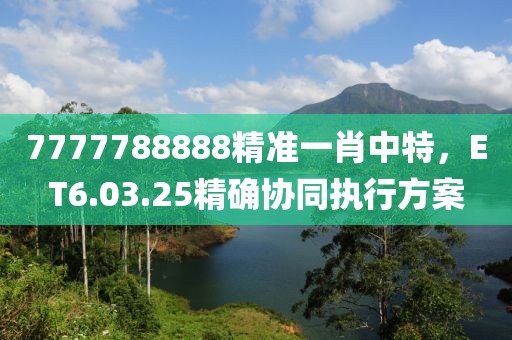 7777788888精准一肖中特，ET6.03.25精确协同执行方案