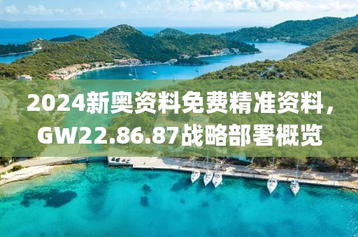 2024新奥资料免费精准资料，GW22.86.87战略部署概览