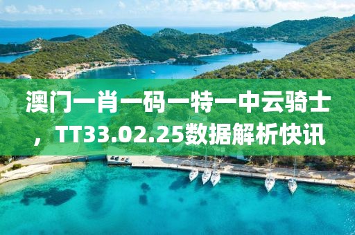 澳门一肖一码一特一中云骑士，TT33.02.25数据解析快讯