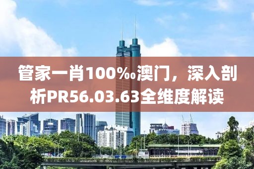 管家一肖100‰澳门，深入剖析PR56.03.63全维度解读
