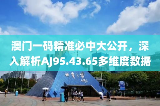 澳门一码精准必中大公开，深入解析AJ95.43.65多维度数据