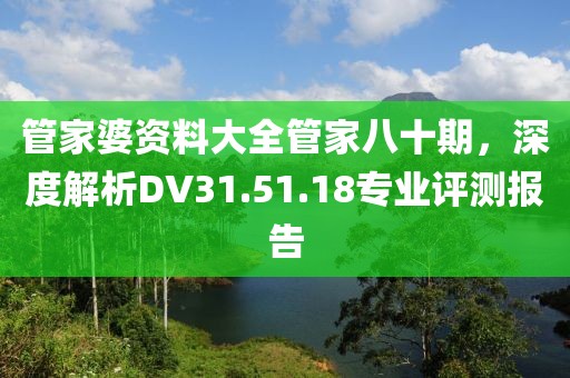 管家婆资料大全管家八十期，深度解析DV31.51.18专业评测报告