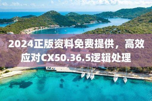 2024正版资料免费提供，高效应对CX50.36.5逻辑处理