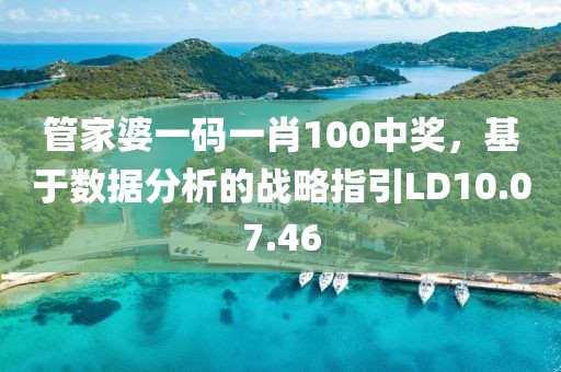 管家婆一码一肖100中奖，基于数据分析的战略指引LD10.07.46