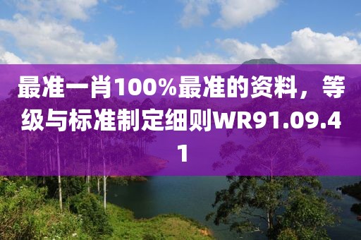 最准一肖100%最准的资料，等级与标准制定细则WR91.09.41