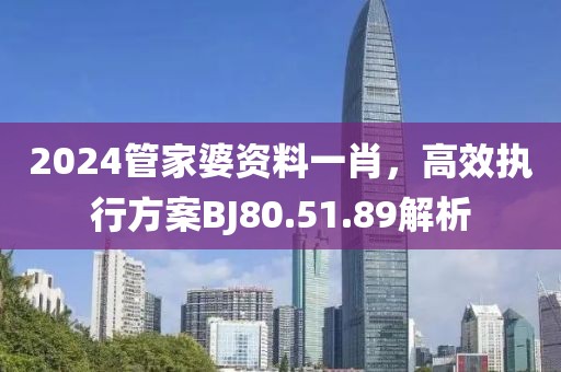 2024管家婆资料一肖，高效执行方案BJ80.51.89解析