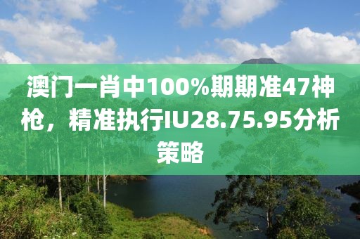 澳门一肖中100%期期准47神枪，精准执行IU28.75.95分析策略