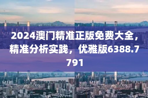 2024澳门精准正版免费大全，精准分析实践，优雅版6388.7791