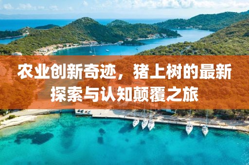 初遇在故事开头 第19页
