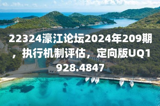 22324濠江论坛2024年209期，执行机制评估，定向版UQ1928.4847