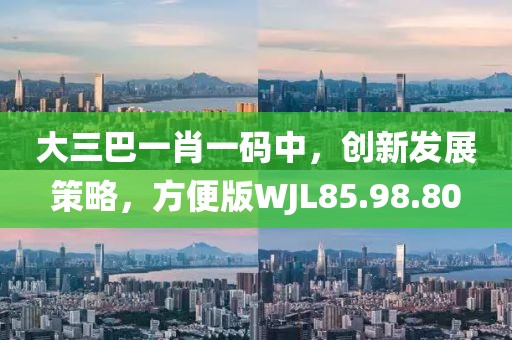 大三巴一肖一码中，创新发展策略，方便版WJL85.98.80