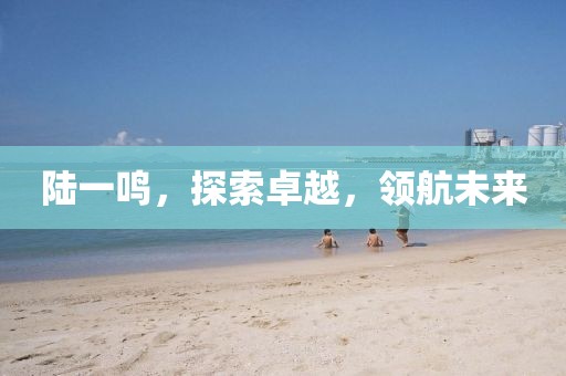 陆一鸣，探索卓越，领航未来