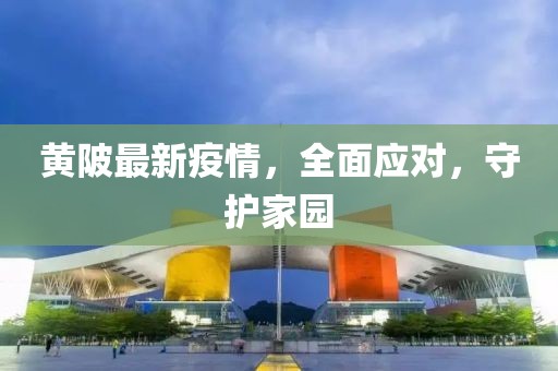 黄陂最新疫情，全面应对，守护家园