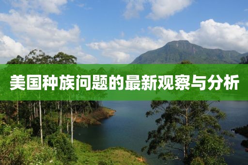 美国种族问题的最新观察与分析