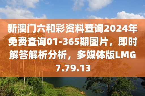 新澳门六和彩资料查询2024年免费查询01-365期图片，即时解答解析分析，多媒体版LMG7.79.13