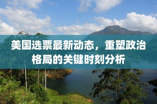 美国选票最新动态，重塑政治格局的关键时刻分析