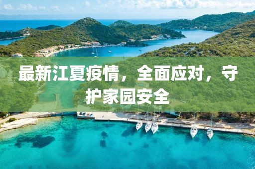 最新江夏疫情，全面应对，守护家园安全