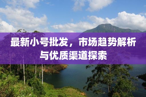 最新小号批发，市场趋势解析与优质渠道探索