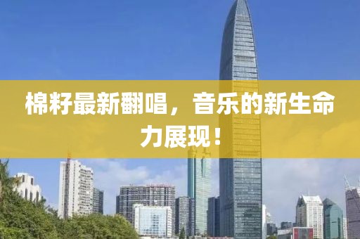 棉籽最新翻唱，音乐的新生命力展现！