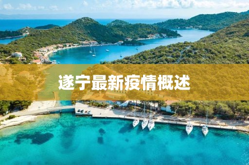 遂宁最新疫情概述